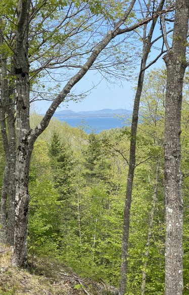 view from a bike ride on an Acadia NP carriage road